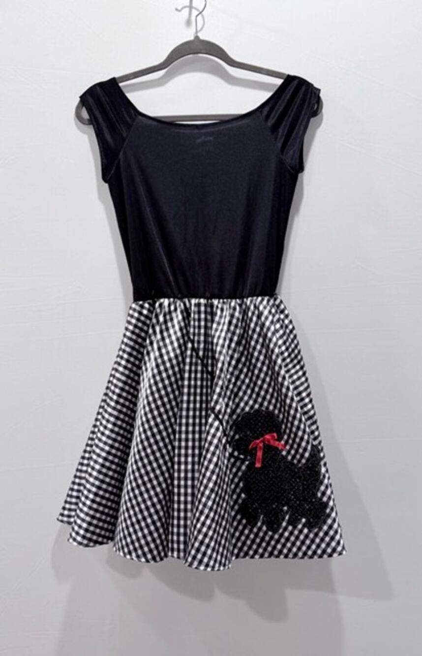 Women's 1950s Poodle Skirt Costume Retro Sock Hop Halloween Rockabilly small